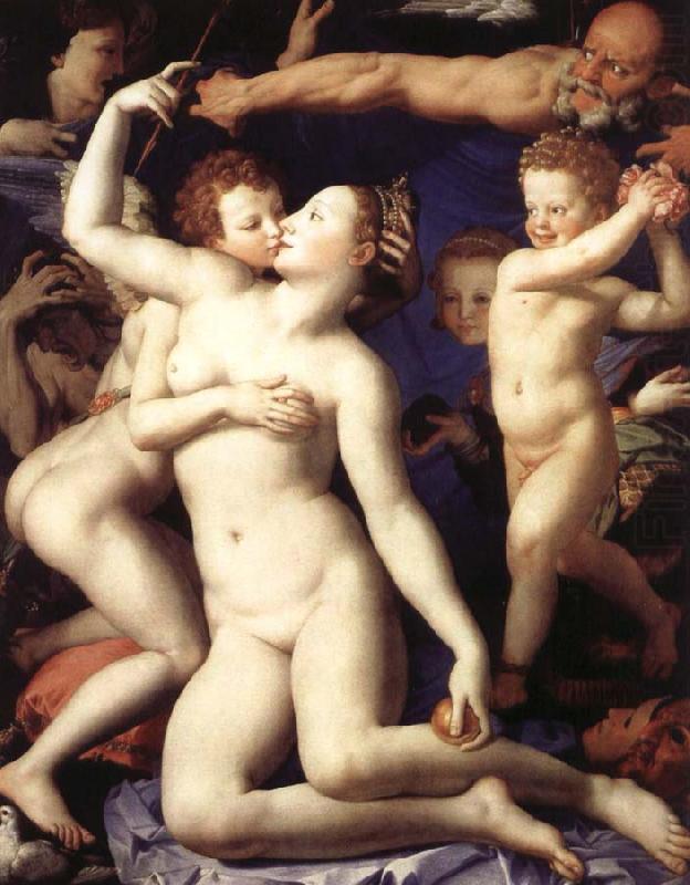 Agnolo Bronzino Venus and Cupid china oil painting image